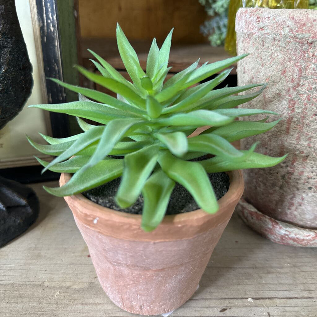 FAUX SUCCULENT IN TERRA COTTA POT