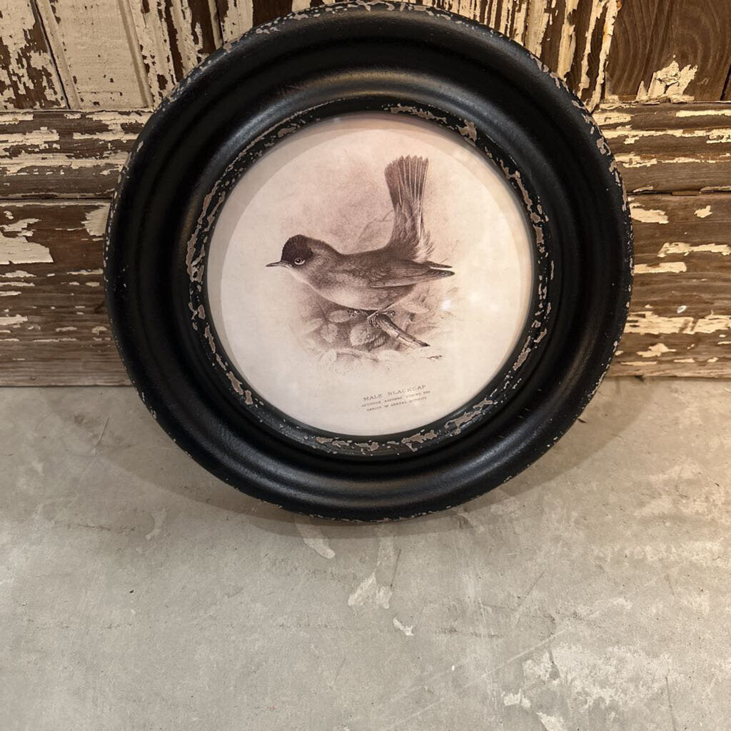 MDF ROUND FRAME BIRD PRINT