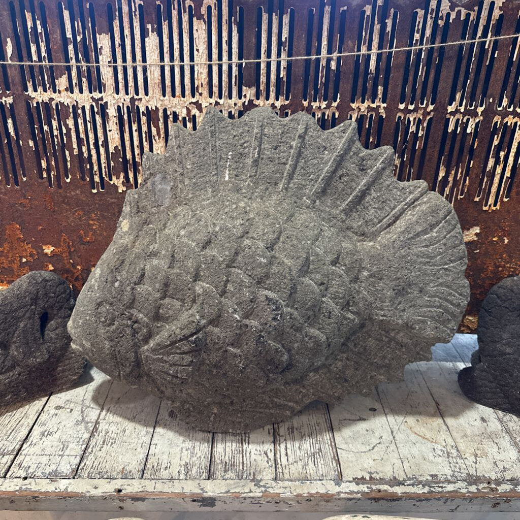 CONCRETE FISH FAMILY