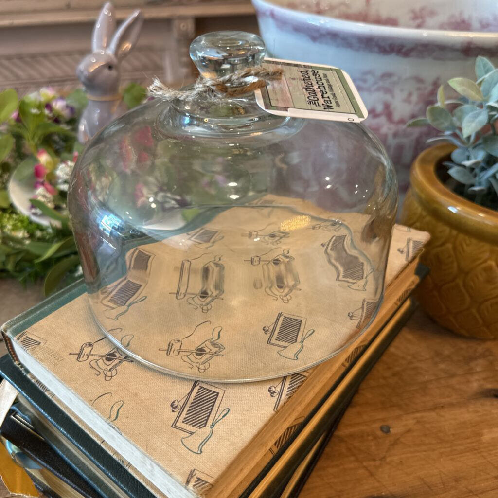 GLASS CLOCHE