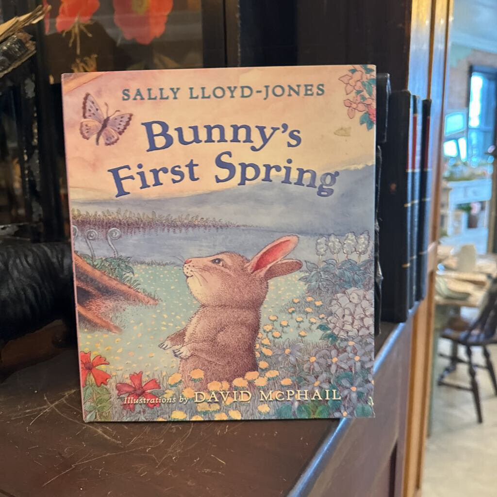 BUNNYS FIRST SPRING