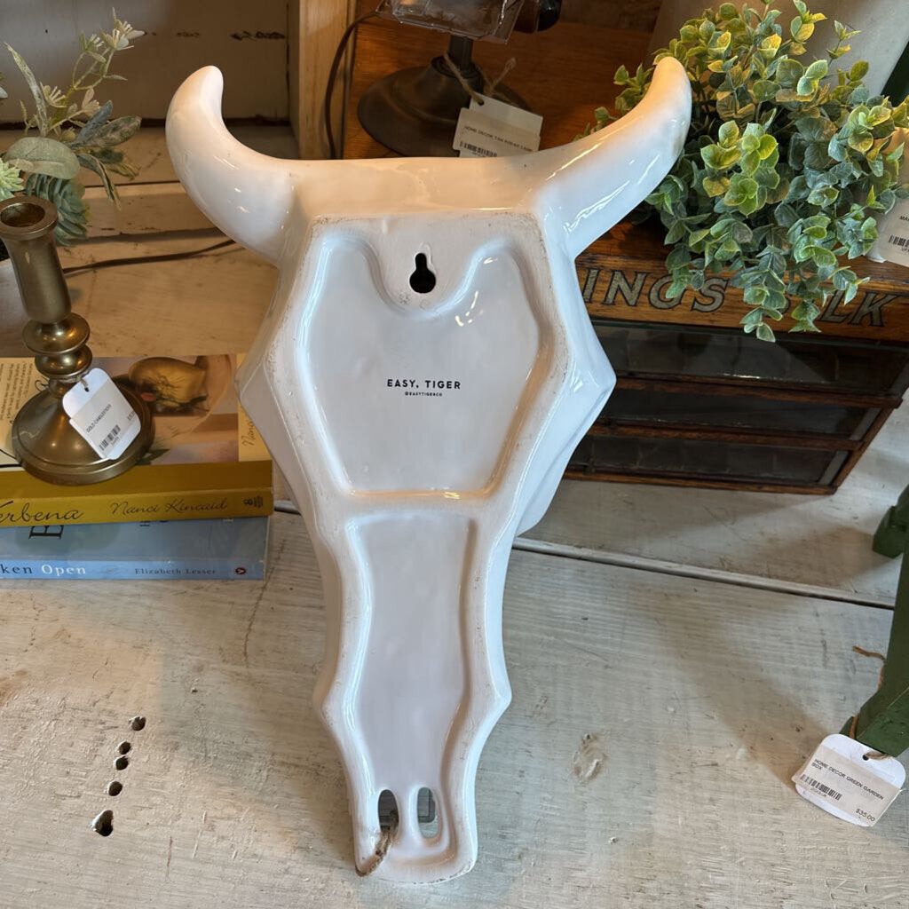 SOUTHWEST STYLE SKULL WALL PLANTER