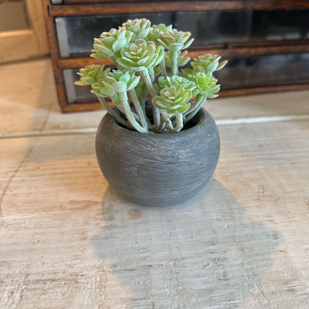 succulent warehouse FAUX SUCCULENT IN POT