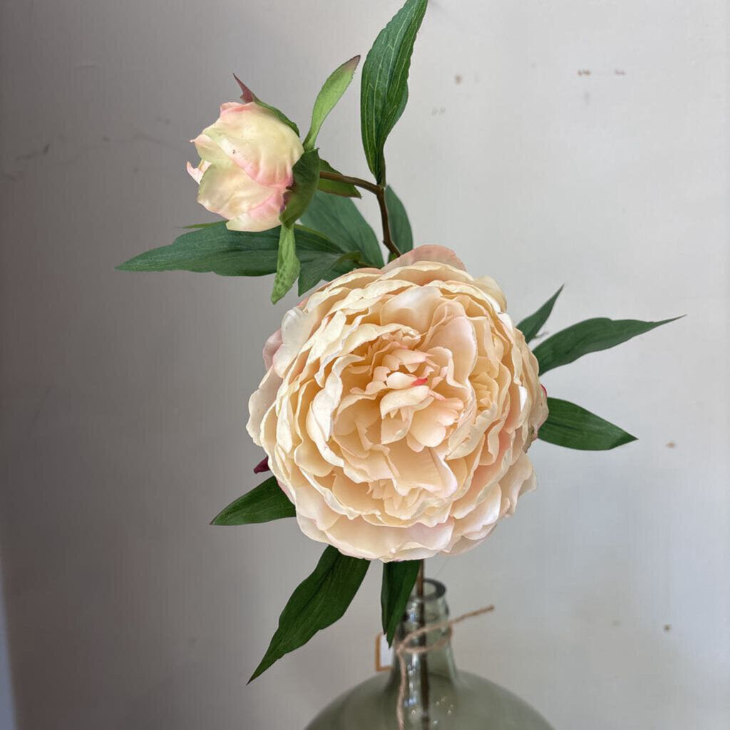 REAL TOUCH PEONY