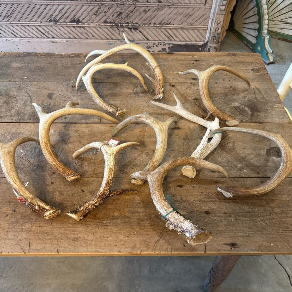 ANTLERS