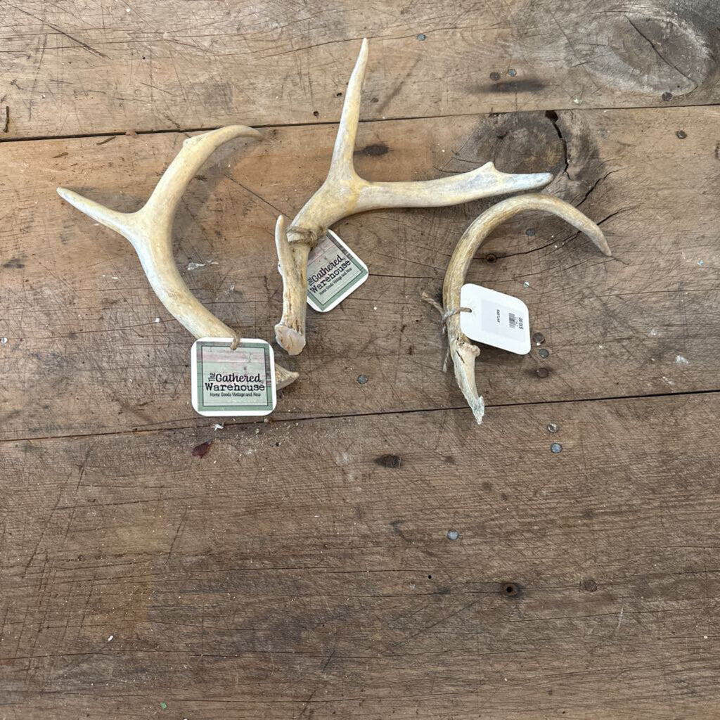 ANTLERS