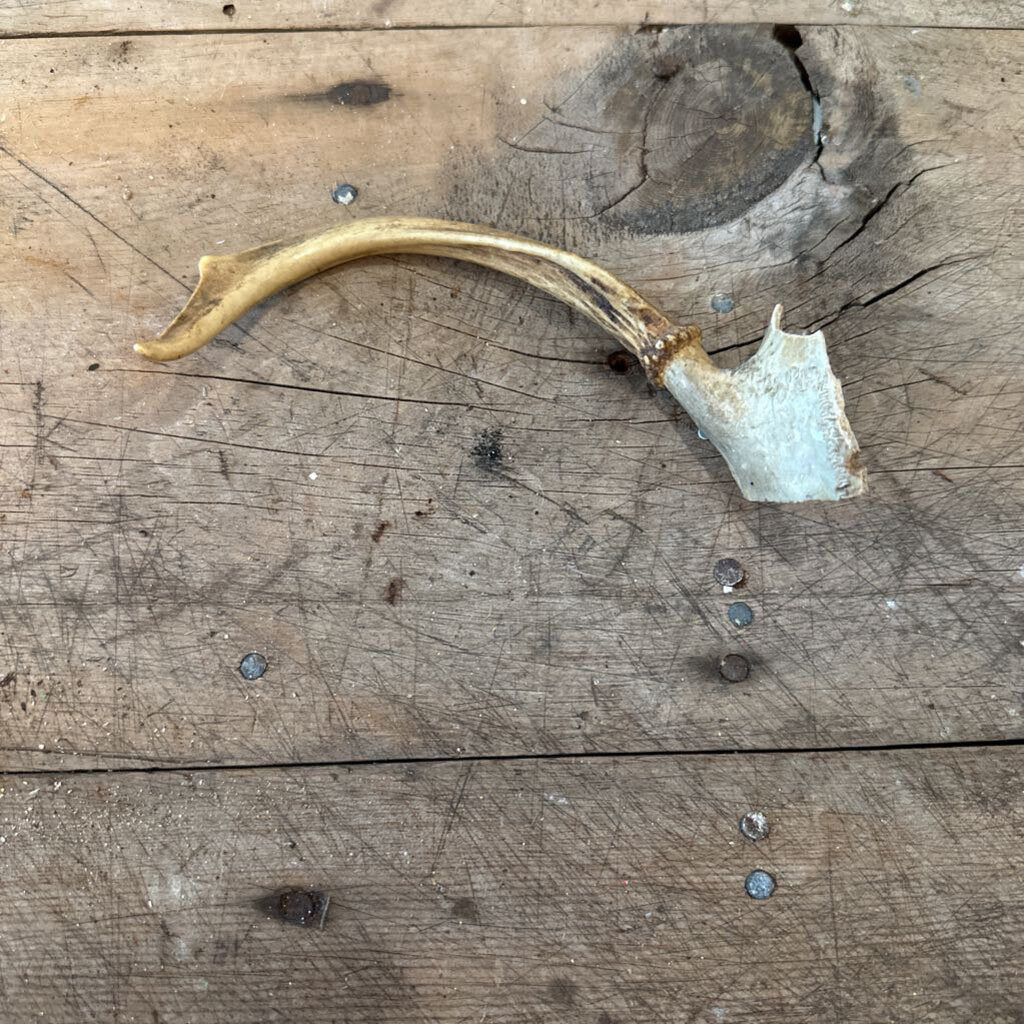 ANTLER
