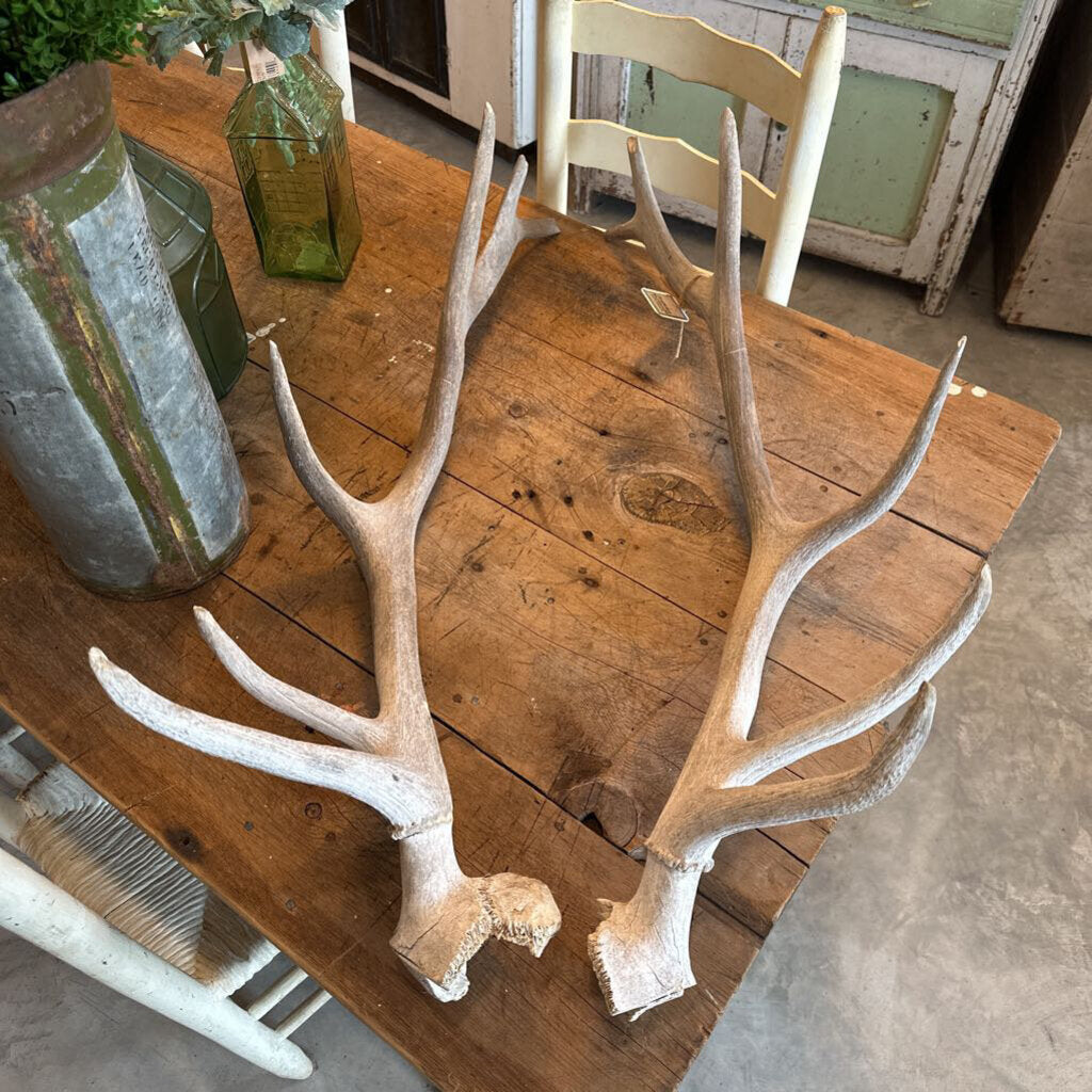 ELK ANTLERS