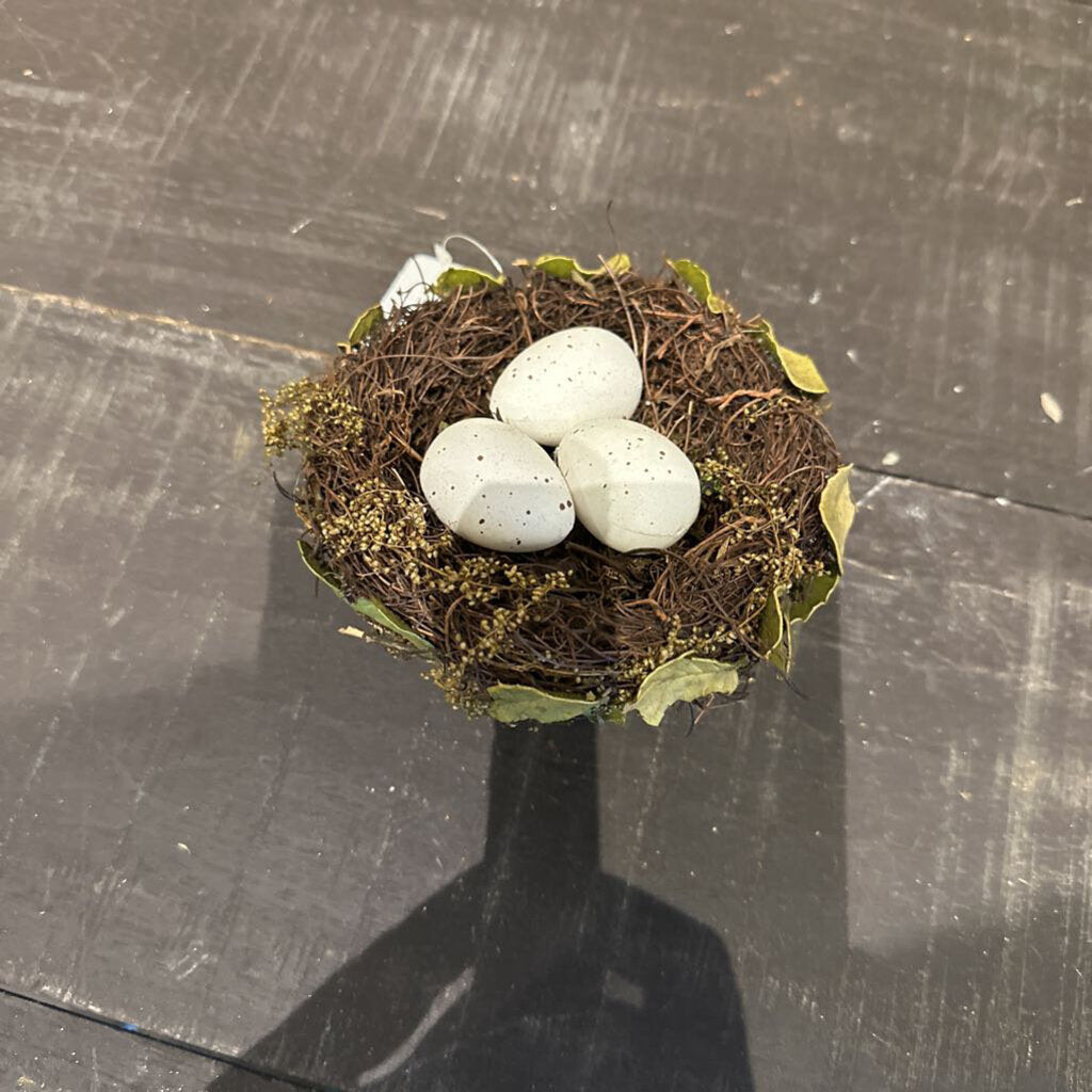 BIRD NEST WITH EGGS