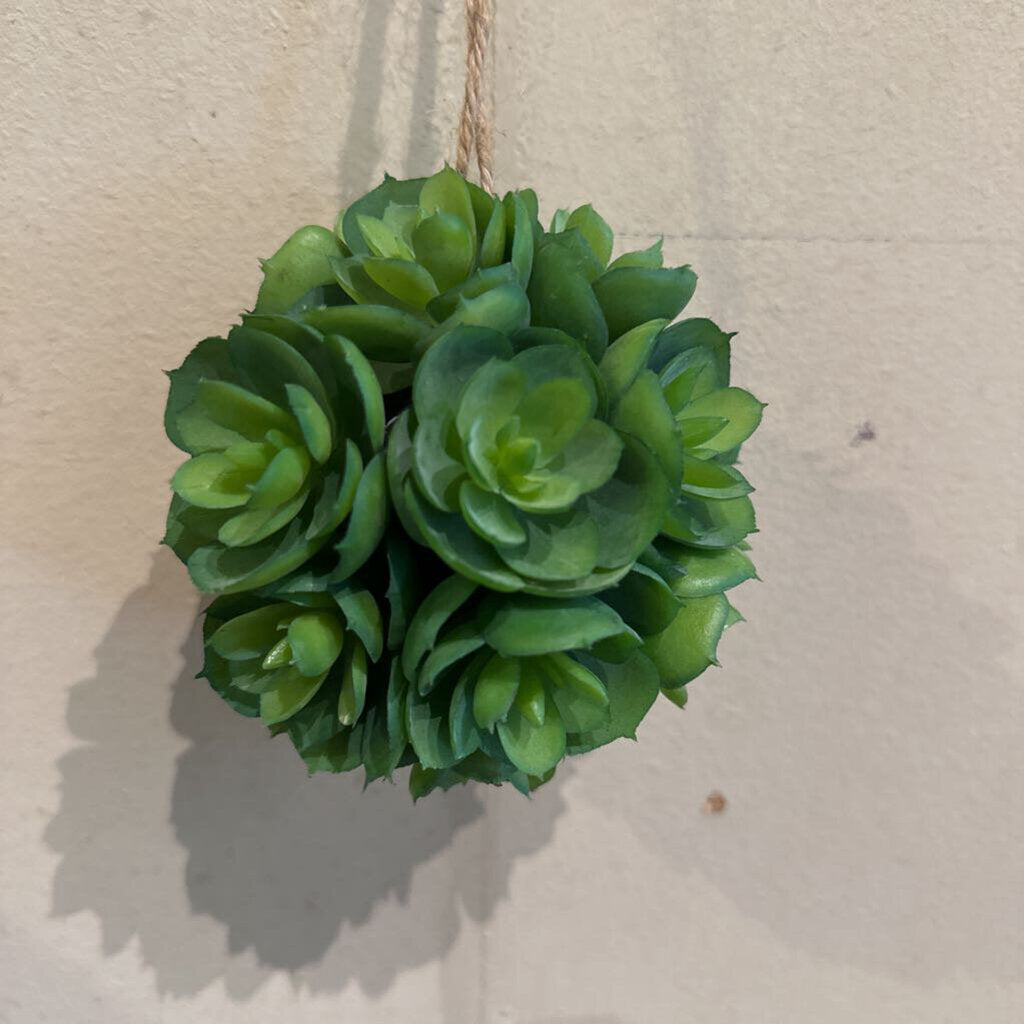 HANGING SUCCULENT BALL