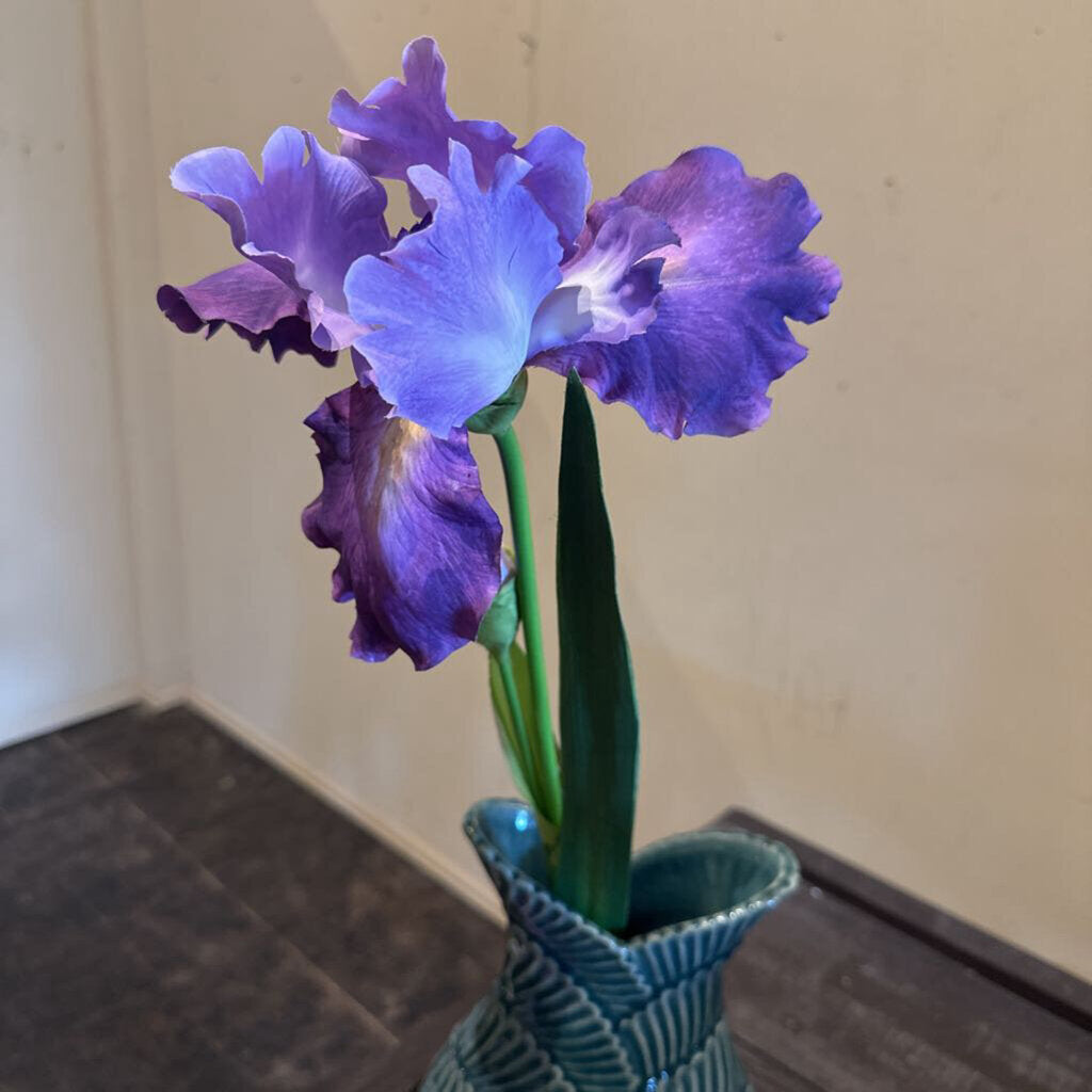 IRIS STEM