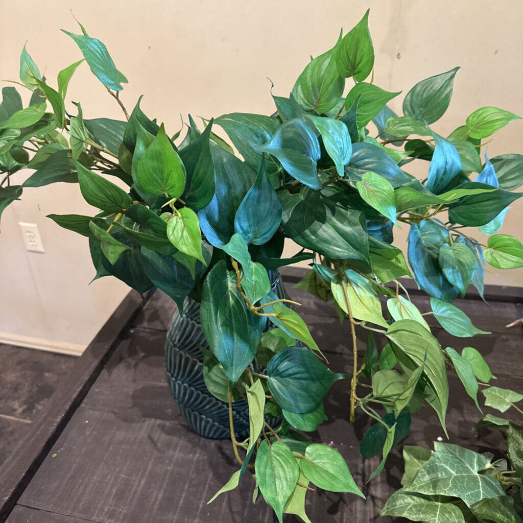 PHILO HANGING BUSH
