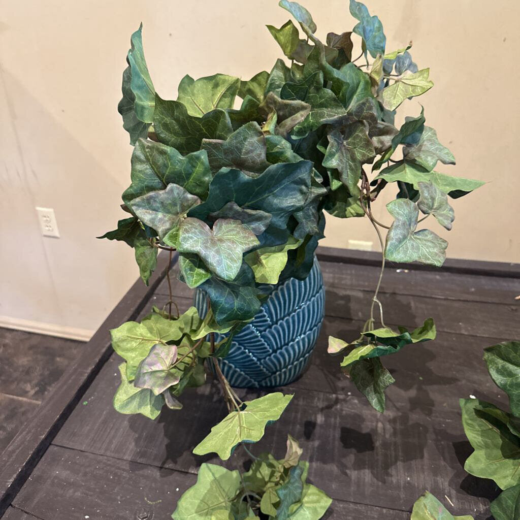 IVY STEM