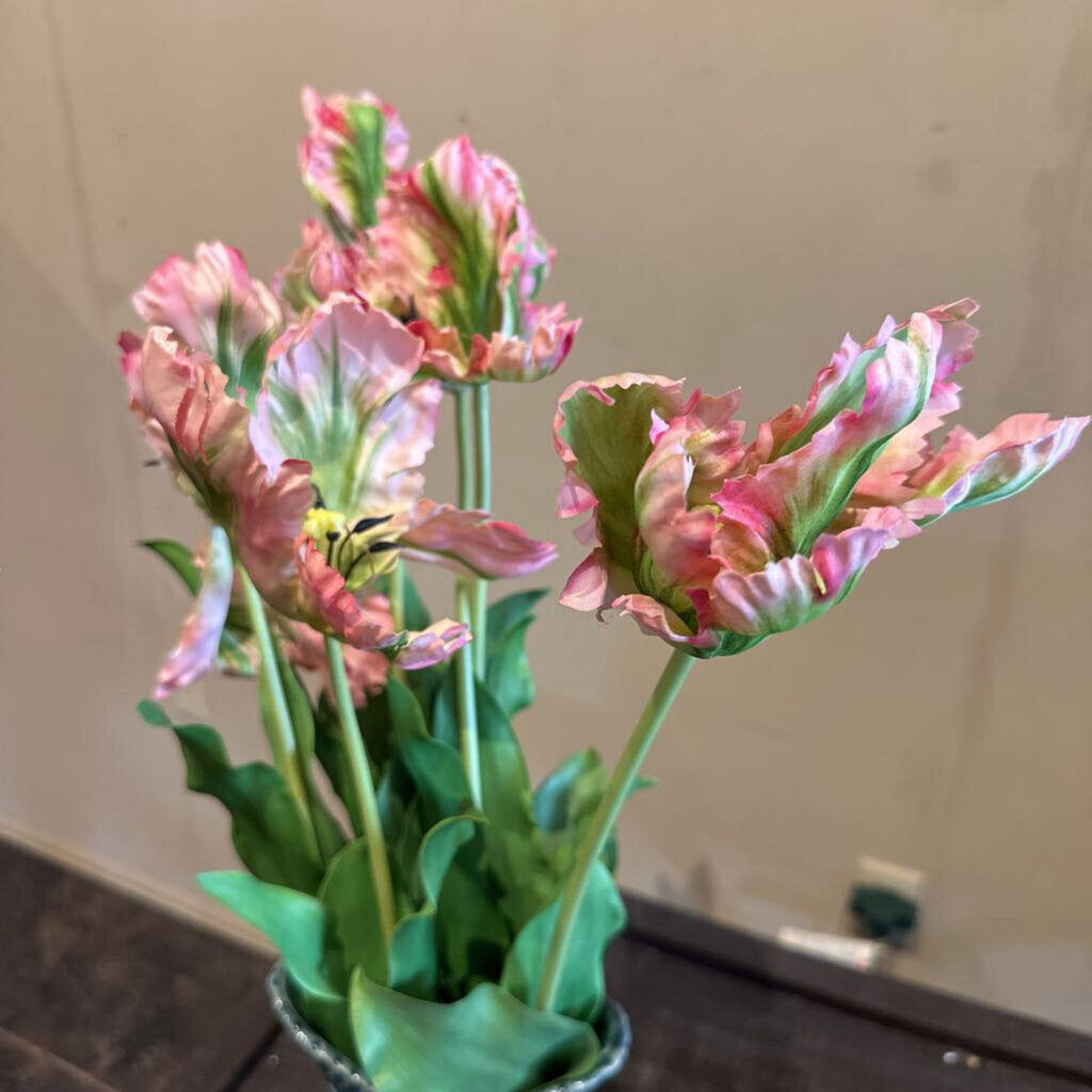 PARROT TULIP STEM
