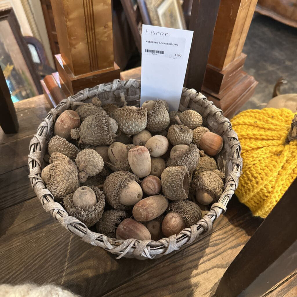 ASSORTED ACORNS