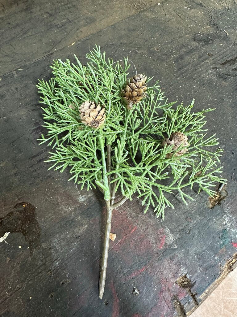 EVERGREEN AND PINECONE PICK
