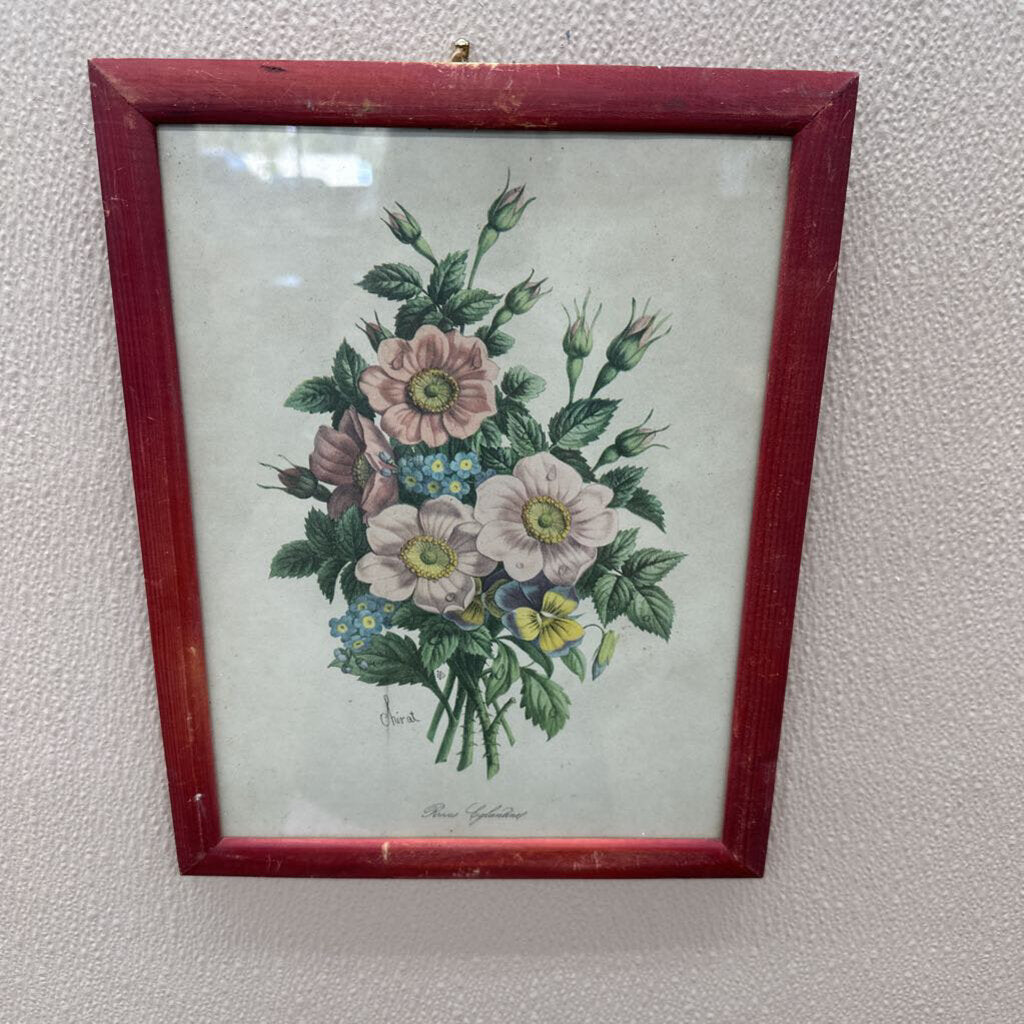 ROSES PICTURE