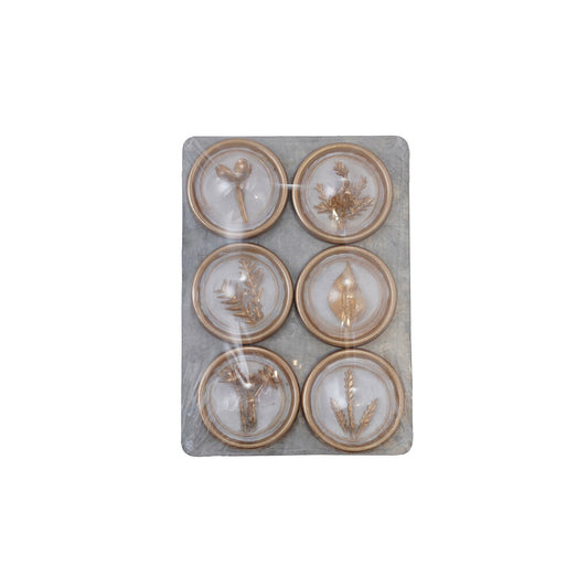 CONVEX MAGNETS WITH BOTANICALS ON METAL CARD