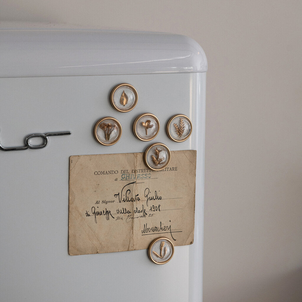 CONVEX MAGNETS WITH BOTANICALS ON METAL CARD