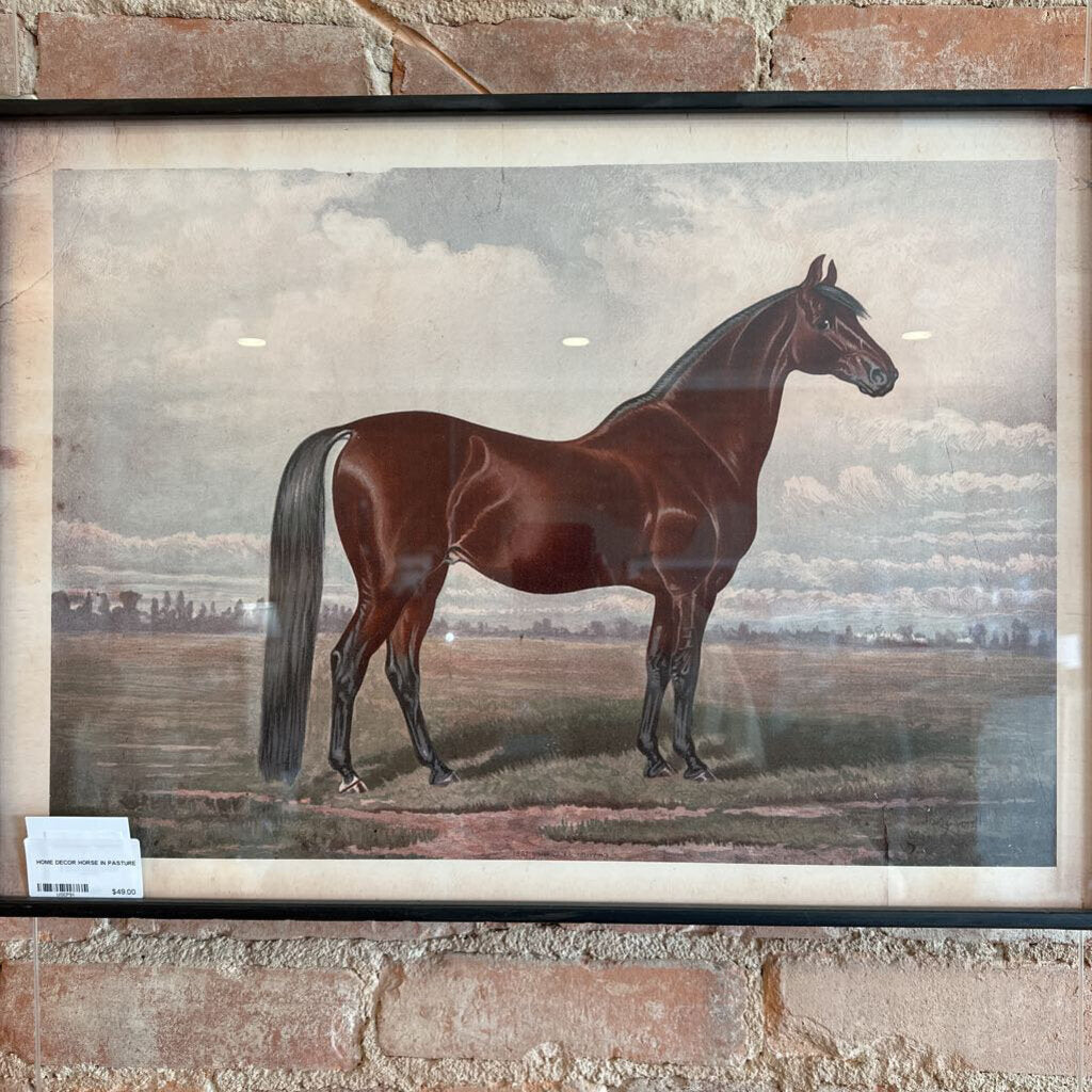 HORSE IN PASTURE