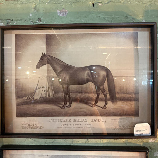 RACE HORSE FRAMED PRINT