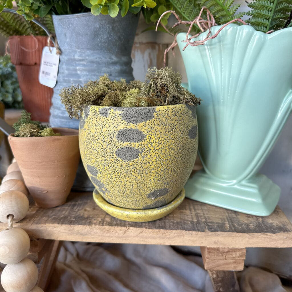 DISTRESSED PLANTER WITH SAUCER