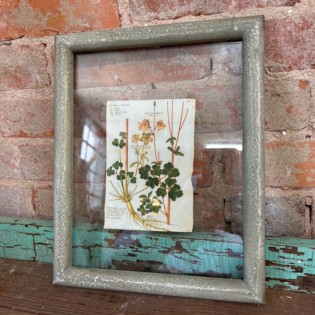 FLOATING FRAMED BOTANICAL PRINT