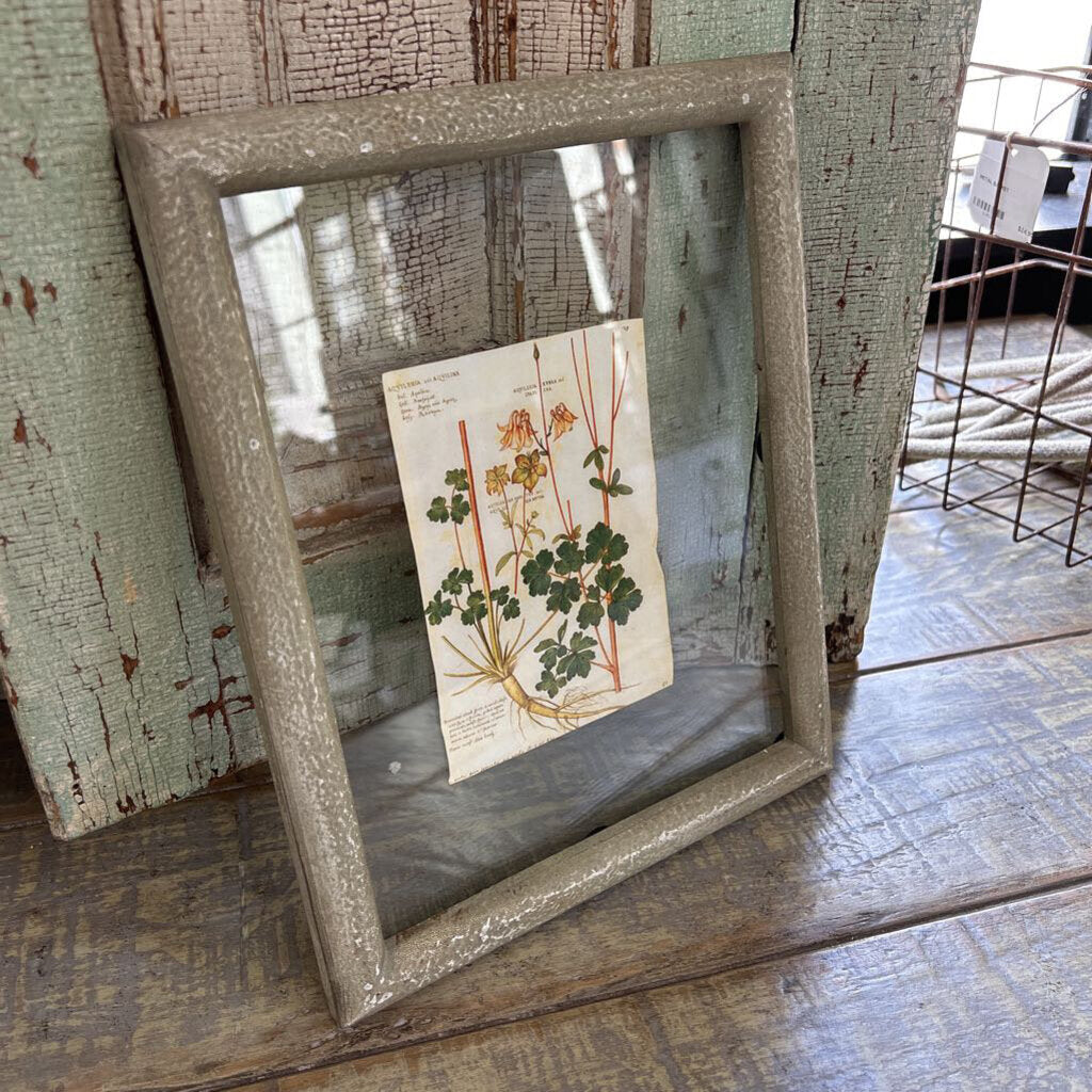 FLOATING FRAMED BOTANICAL PRINT