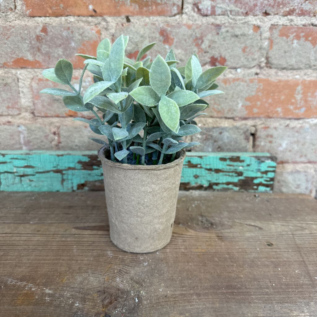 LEAF TEA PAPER POT