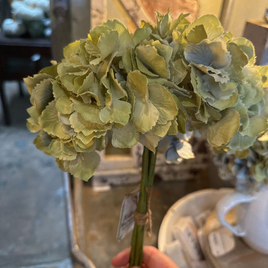 HYDRANGEA BOUQUET