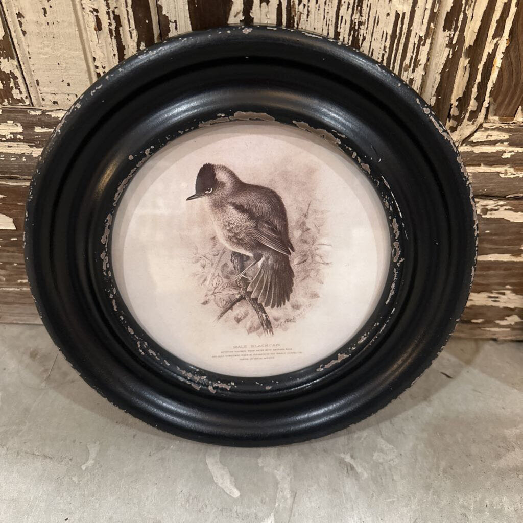 MDF ROUND FRAME BIRD PRINT