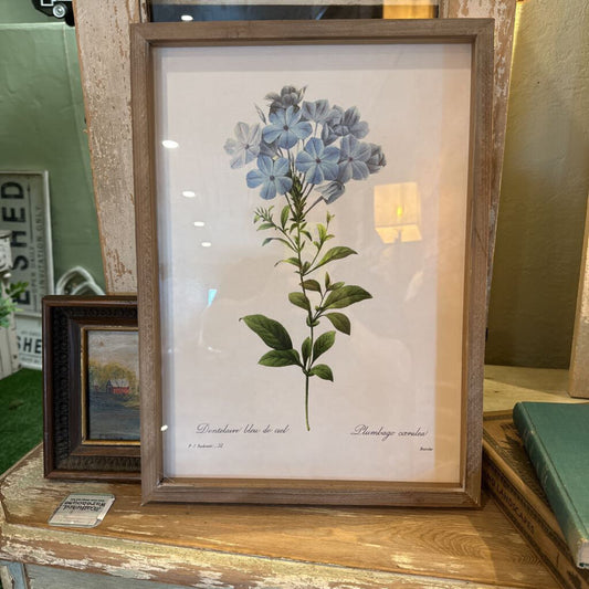 BLUE BOTANICAL FRAMED PRINT