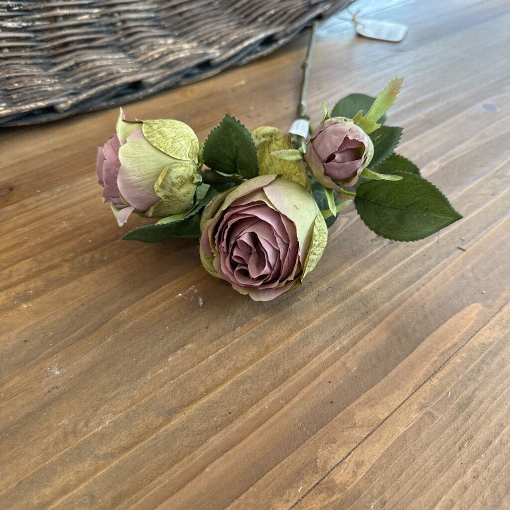 STEM OF DUSTY PINK ROSES