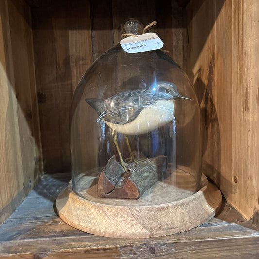 BELL SHAPED CLOCHE WITH WOOD BASE