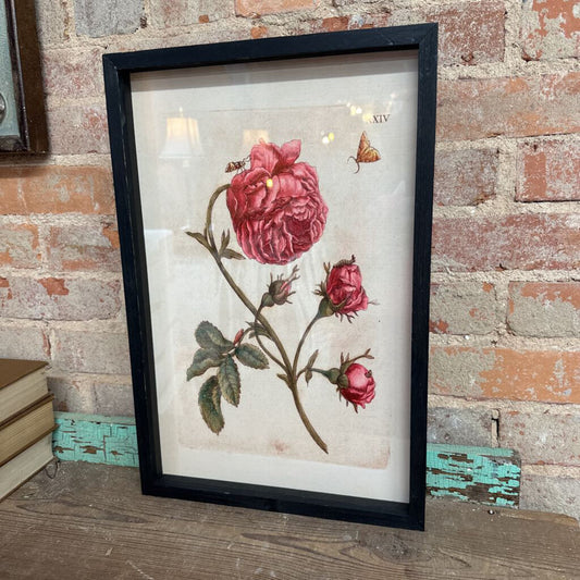 HARDIN BOHEMIA BOTANICAL PRINT