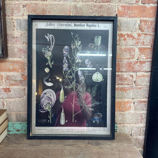 BOTANICAL WOOD FRAME