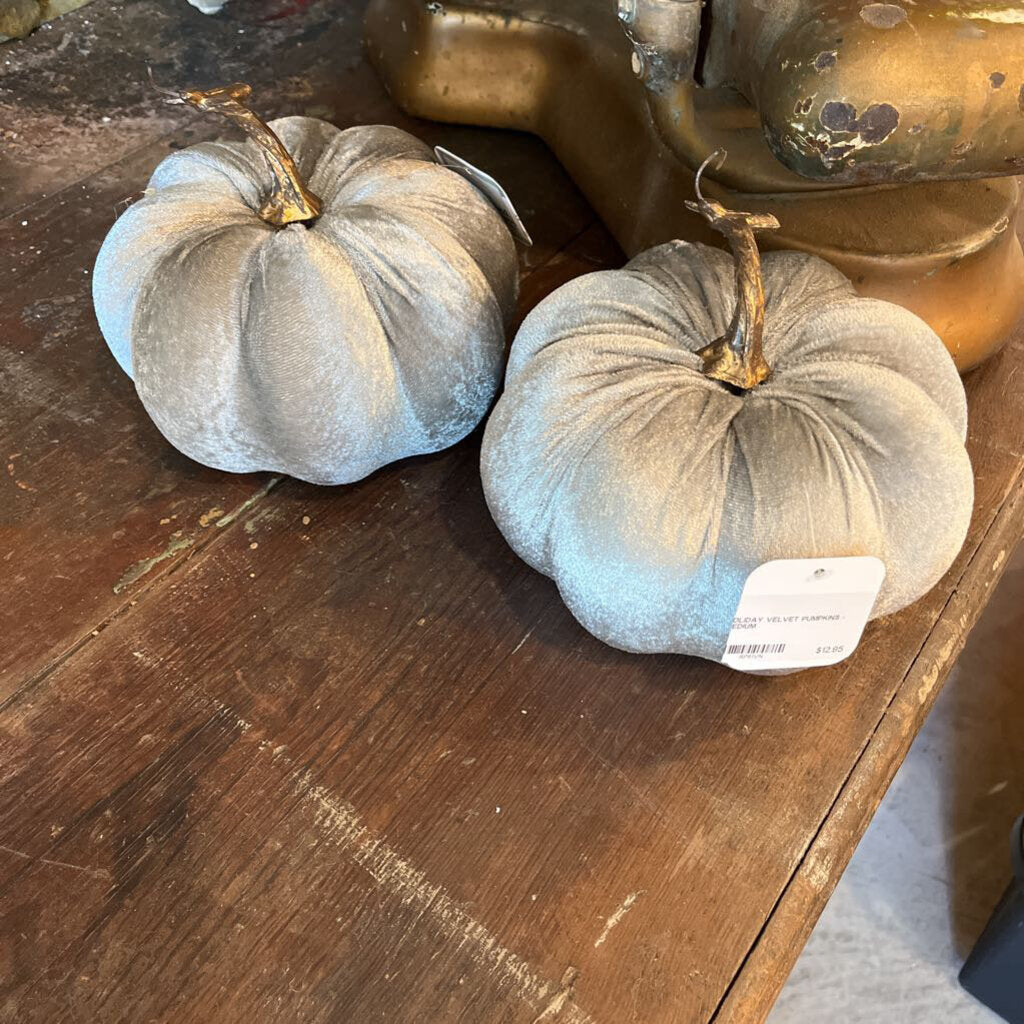 VELVET PUMPKINS