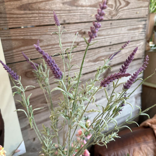 LAVENDER STEM