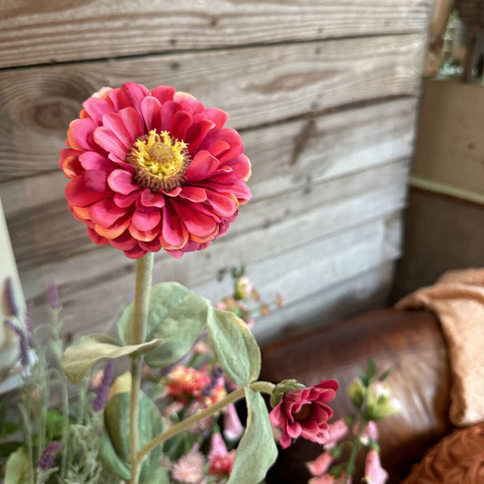 TALLO DE ZINNIA