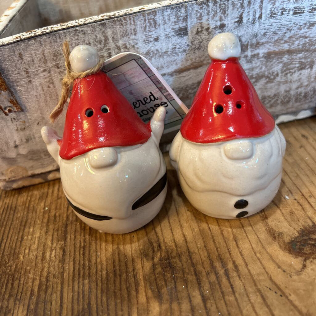 GNOME SALT AND PEPPER SHAKERS SET