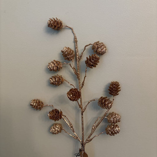 PINECONE STEM