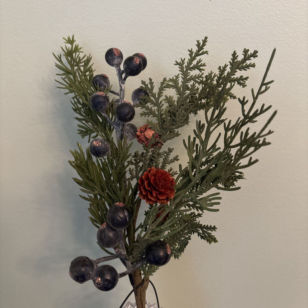 CYPRESS AND BERRY PICK