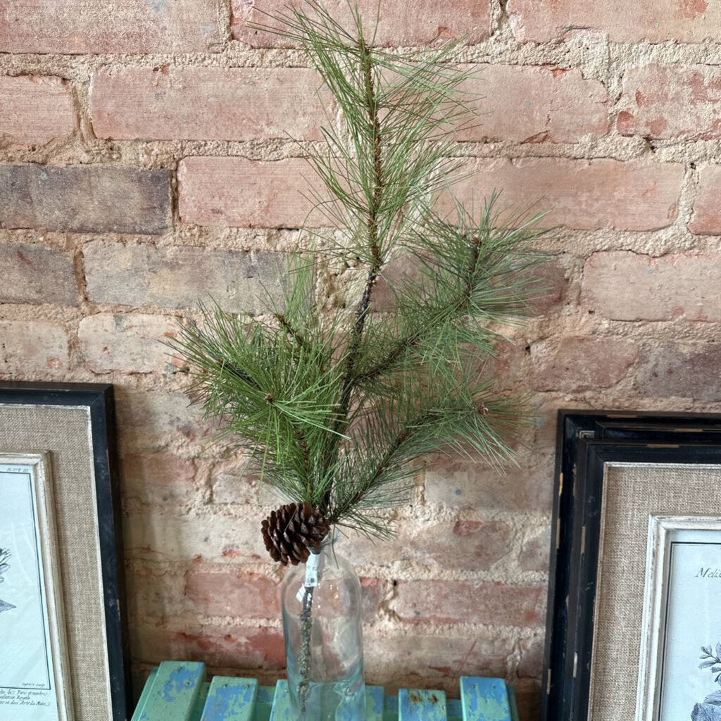 PINE STEM WITH LARGE PINECONE