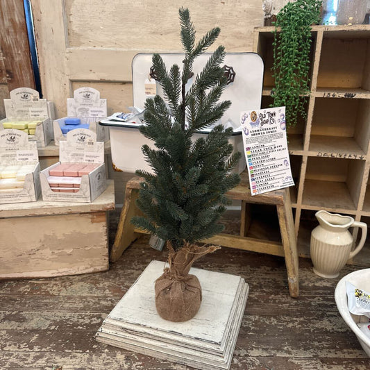 MINI PINE TREE