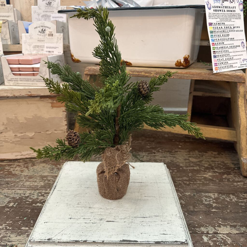 MINI PINE TREE