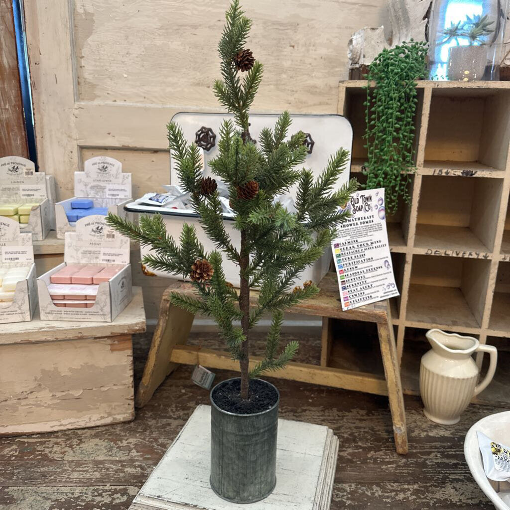 PINE TREE IN METAL POT