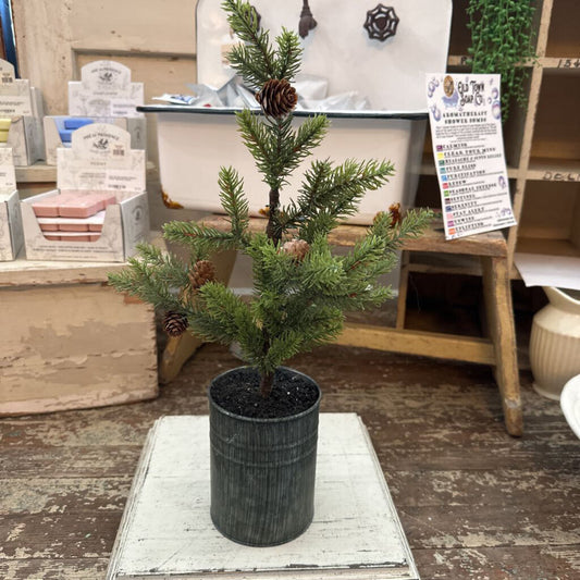 PINE TREE IN METAL POT