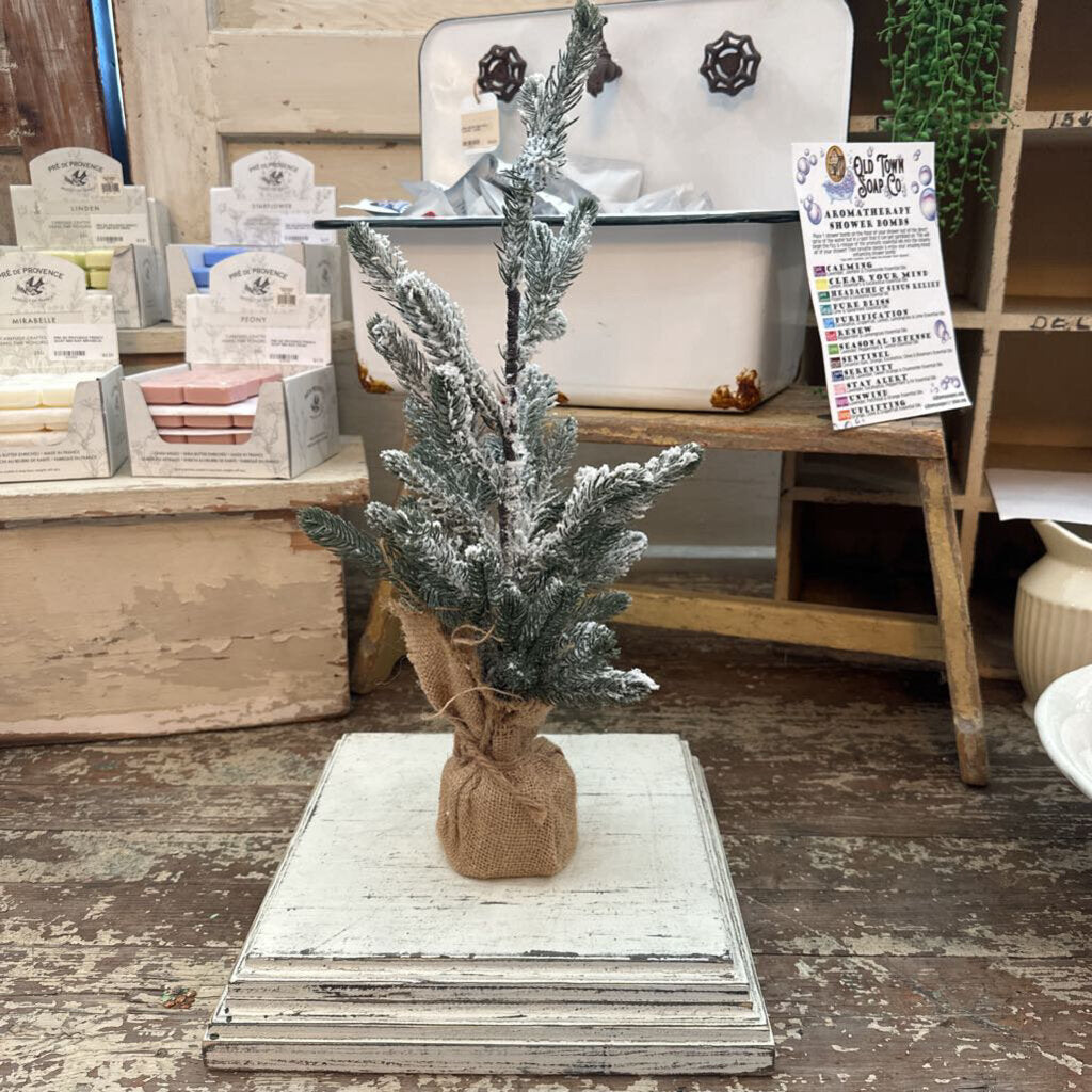 MINI FLOCKED PINE TREE