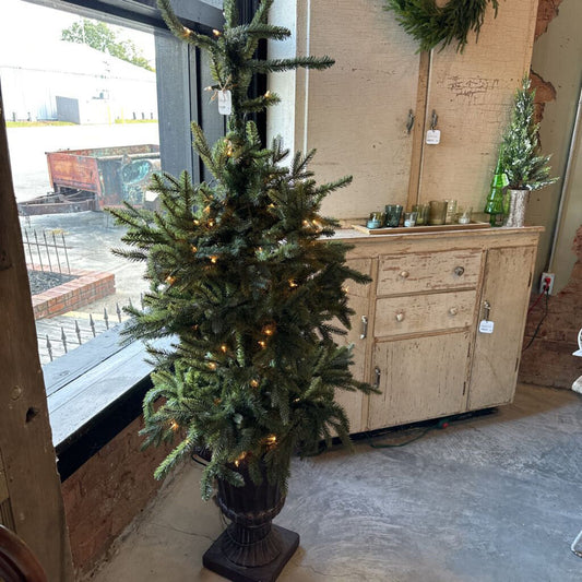 CHRISTMAS TREE IN URN