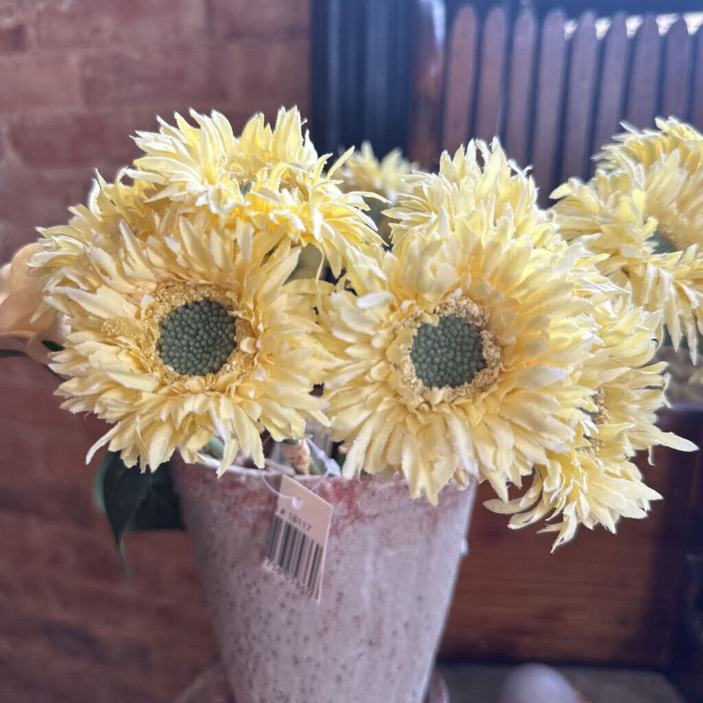 GERBERA DAISY